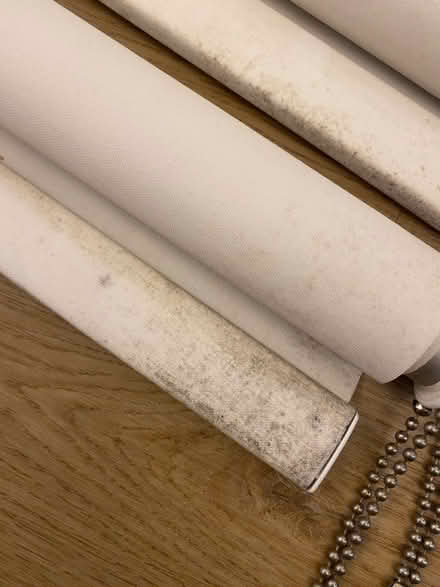 Photo of free Blackout roller blinds (Hazel Grove SK7) #2