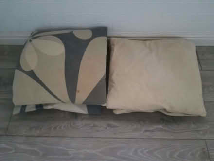 Photo of free Cushions (Shoreham-by-Sea BN43) #1
