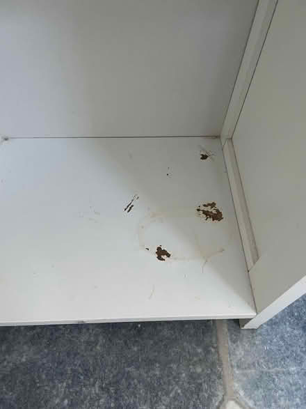 Photo of free Bathroom cabinet (Blackbird Leys OX4) #4