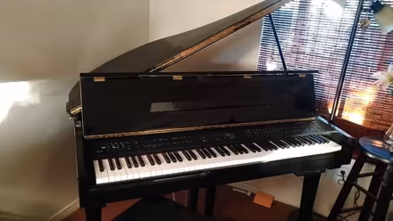 Photo of free Baby grand piano (NW side) #1