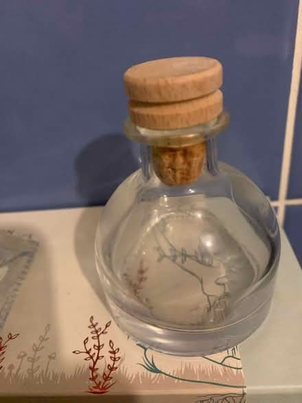 Photo of free 2 bottles Gin Liqueur miniature / Sangria bottle (Grays RM17) #2