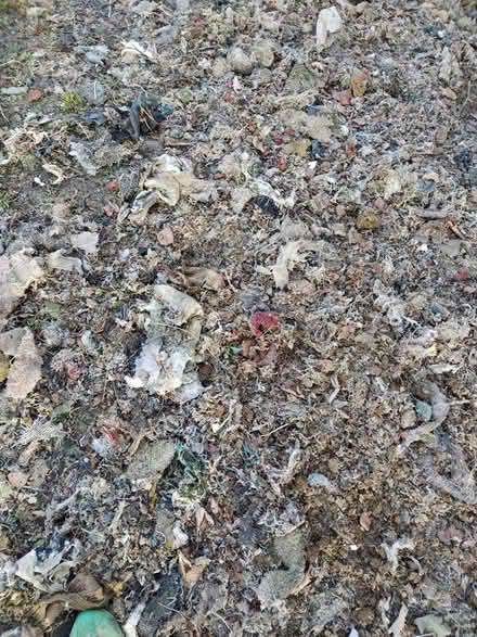 Photo of free Equestrian menage synthetic textile (Clopton, IP13) #3