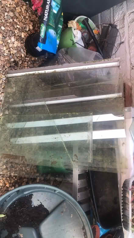 Photo of free Greenhouse glass (Horsehay TF4) #1