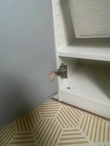 Photo of free Mirrored wardrobe (Fiveways BN1) #2