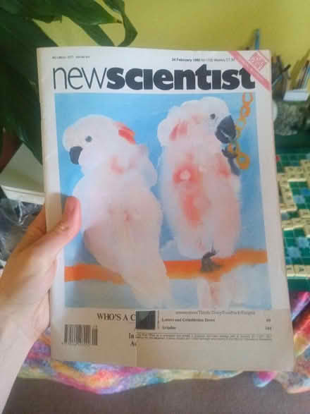 Photo of free Stack of science magazines (elverson road SE13) #2