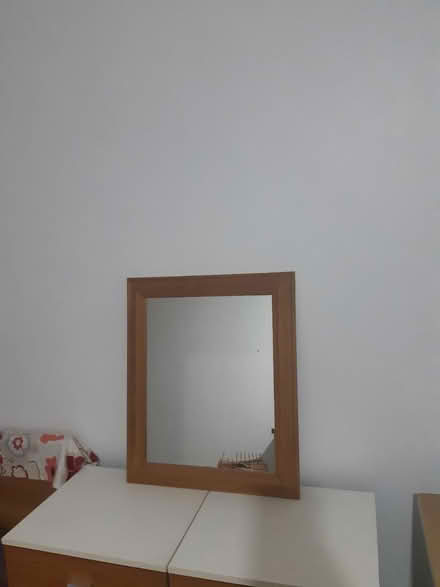 Photo of free Mirror (Enfield EN3) #1