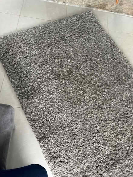 Photo of free Grey rug (Broxbourne EN10) #2