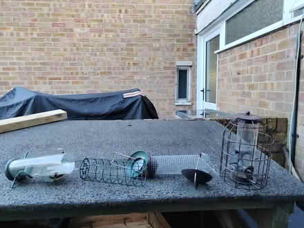 Photo of free Bird feeders (SN10 5TS Victoria park) #1