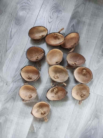 Photo of free Half coconut shells (Grays RM17) #1