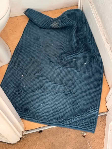 Photo of free Rail, furniture and bits (W14 Holland park) #4