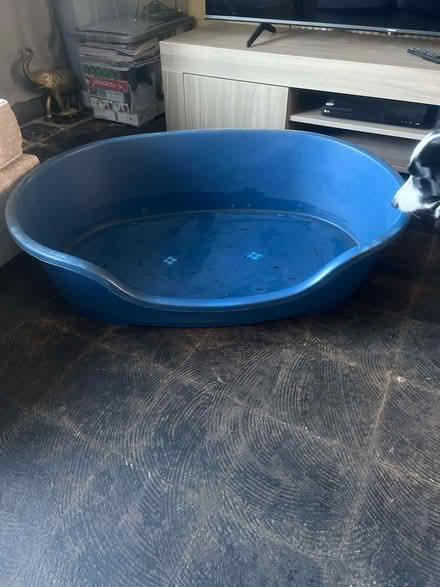 Photo of free Large plastic dog bed (Bilton, CV22) #1