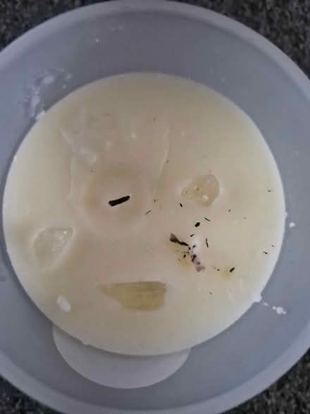 Photo of free Scented candle (Grove Park SE9) #2