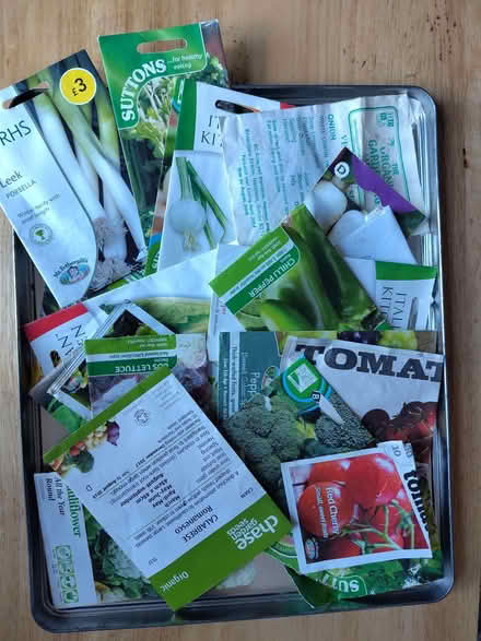 Photo of free Out of date veg seeds (Lower Walkley S6) #1