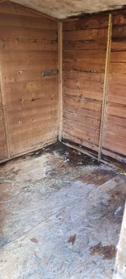 Photo of free Garden shed (Beulah Hill SW16) #1