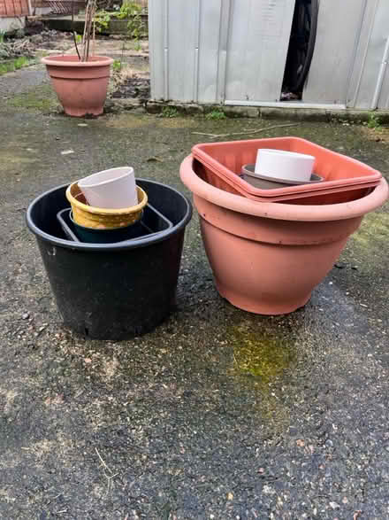 Photo of free Pots assorted sizes (Newick Road) #1
