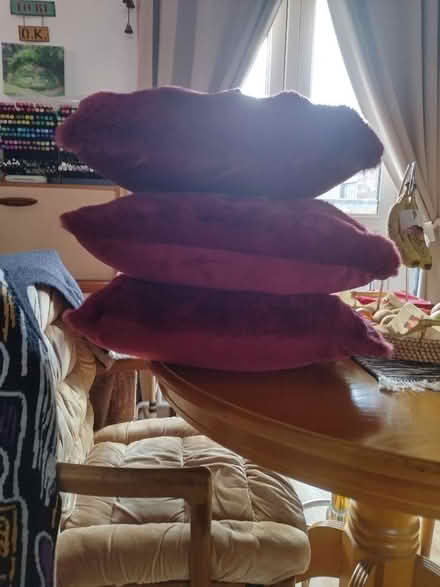 Photo of free Set of 3 Stacey Solomon cushions (Rowner PO13) #1