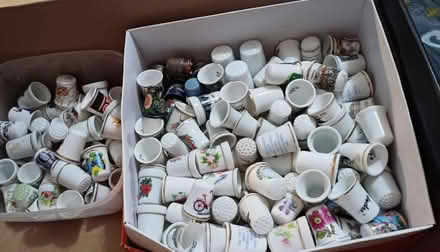 Photo of free Thimbles (Freehold, Ridge) #1
