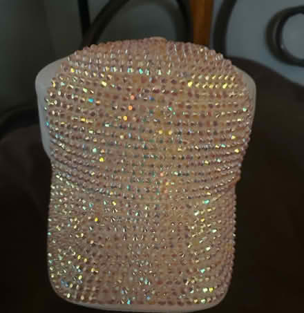 Photo of free Rhinestone hat (South Elgin) #1