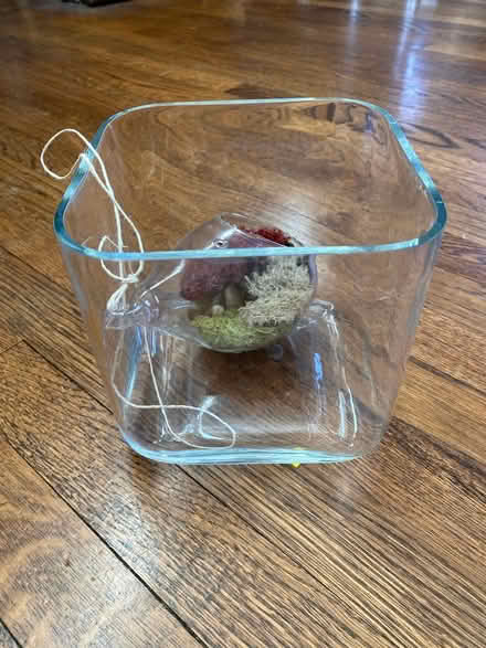 Photo of free Vase and terrarium (Potomac MD) #2