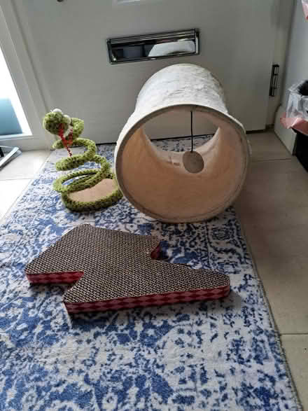 Photo of free Cat Toys (Wokingham RG40) #1