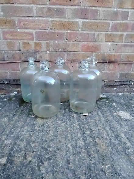 Photo of free 5 Demijohns (SN10 5TS Victoria park) #1