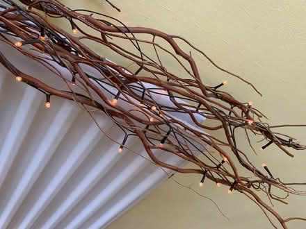 Photo of free Light up twigs (Bewdley DY12) #1