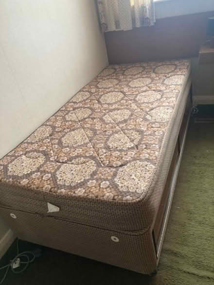 Photo of free Single Bed (IP9) #1