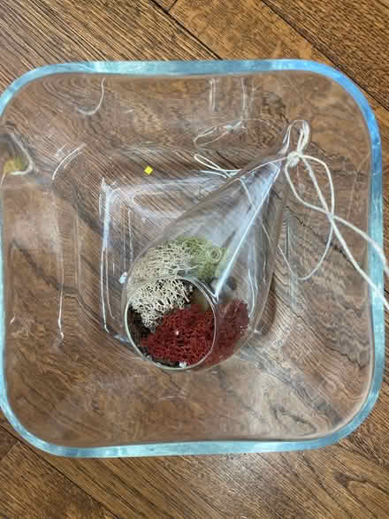 Photo of free Vase and terrarium (Potomac MD) #1