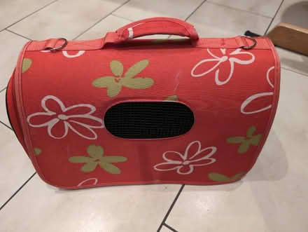 Photo of free Cat bag carrier (Byfleet KT14) #1