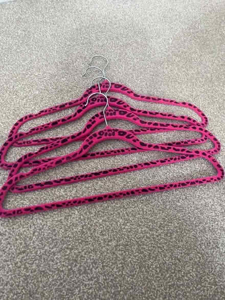 Photo of free Animal print hangers (Ticknall DE73) #1