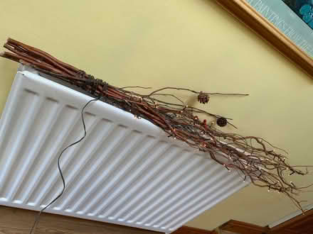 Photo of free Light up twigs (Bewdley DY12) #2