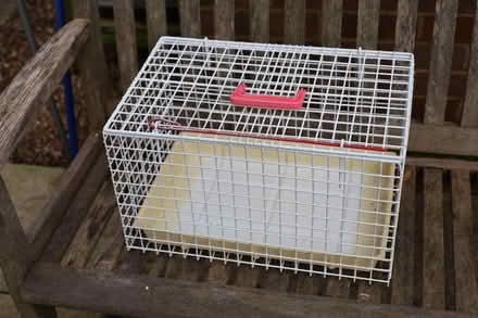 Photo of free Cat basket (Heybridge CM9) #1