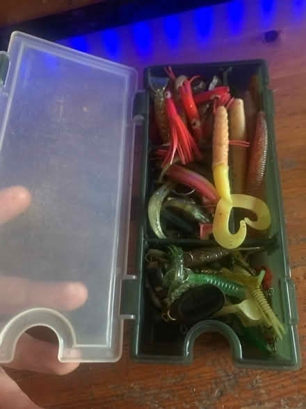 Photo of free Perch/pike soft plastic lures (Windsor) #1