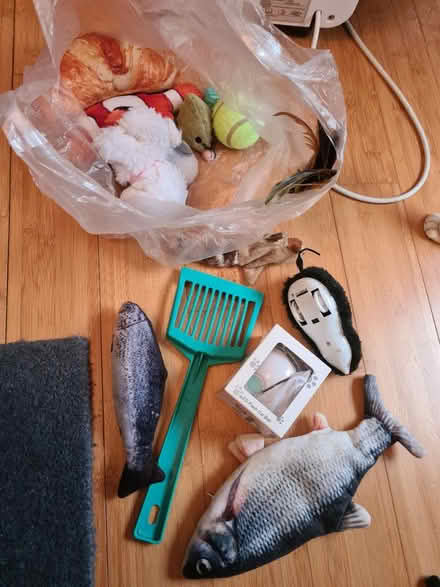 Photo of free Cat toys (Wood green N22) #1