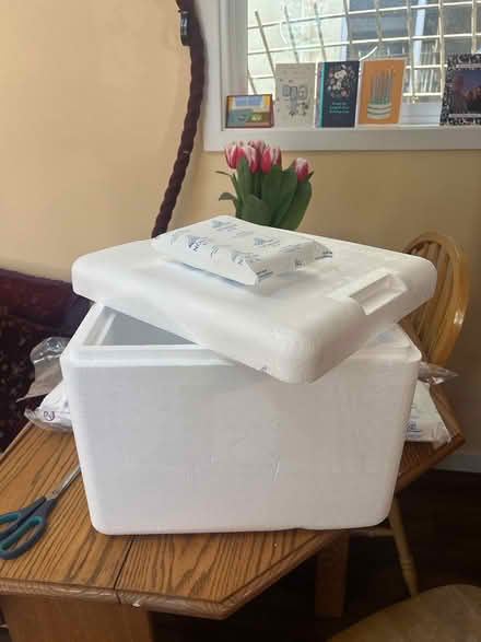 Photo of free Styrofoam cooler and ice packs (North Berkeley) #1