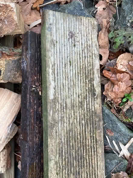 Photo of Decking planks or off-cuts (Cupar KY15) #2