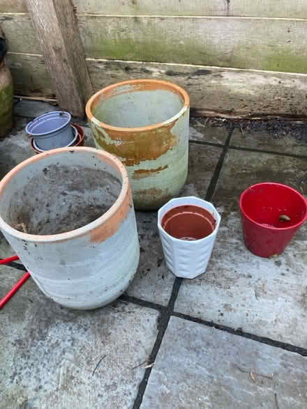 Photo of free Collection of plant pots (St Albans AL3) #1