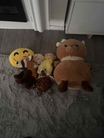 Photo of free Teddies (DA11) #1