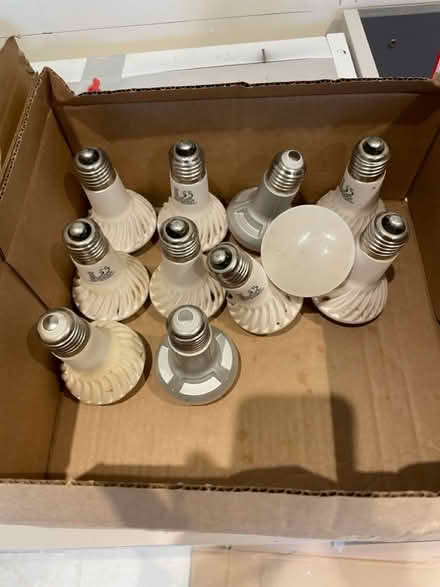 Photo of free 11 LED screw fit bulbs (Winterbourne Monkton SN4) #3