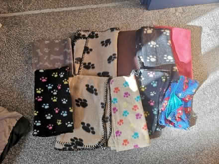 Photo of free Small animal fleece blankets (Bradford on Avon BA15) #1
