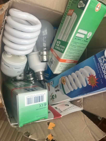 Photo of free Various Lightbulbs (Wandsworth SW18) #1
