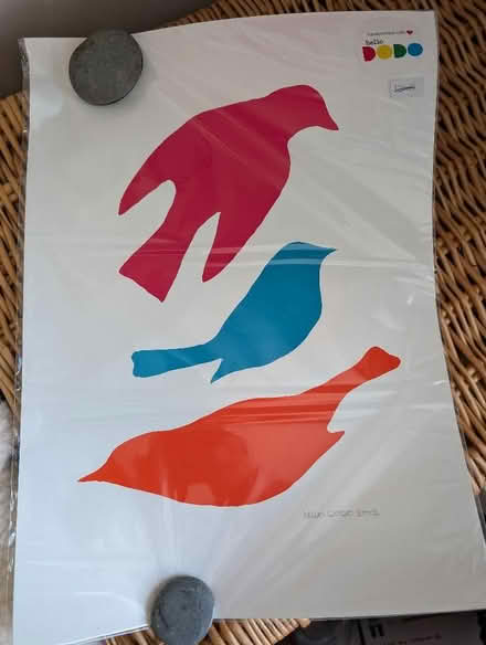 Photo of free A3 birds screen print (Saltney Ferry CH4) #1
