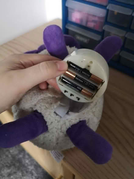 Photo of free Ewan the dream sheep (Bradford on Avon BA15) #2