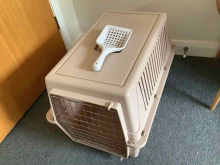 Photo of free Large Cat Travelling Basket (or small dog) (The Plantation GL5) #1