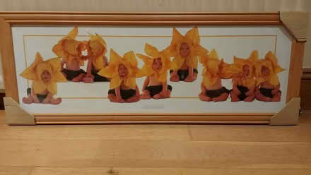 Photo of free Anne Geddes cute sunflower baby picture (Bolton le Sands LA5) #1
