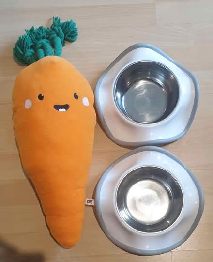 Photo of free X2 Dog Bowls and Squeaky Carrot (London E16) #1