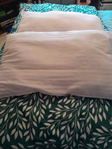 Photo of free Pillows (Manor Top S2) #1
