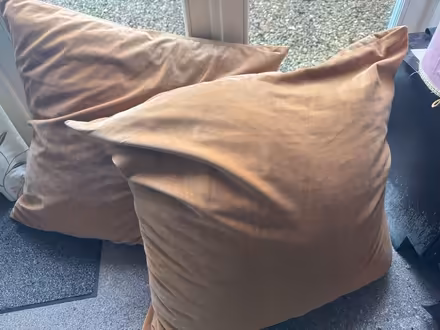 Photo of free Pair of floor cushions (Kidlington OX5) #1