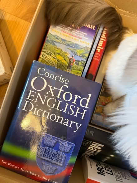 Photo of free Books and board games (Pimlico, SW1) #4