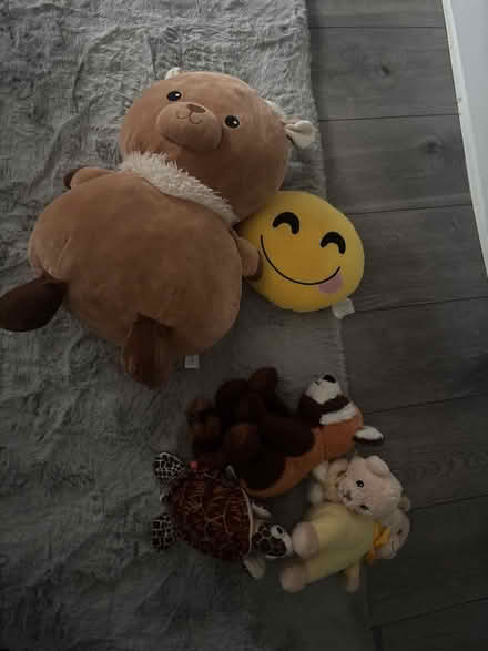 Photo of free Teddies (DA11) #2